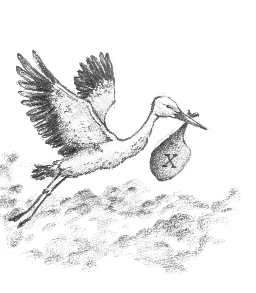 La cigogne — adoption et naissance sous X, illustration Zoé Le Gavrian