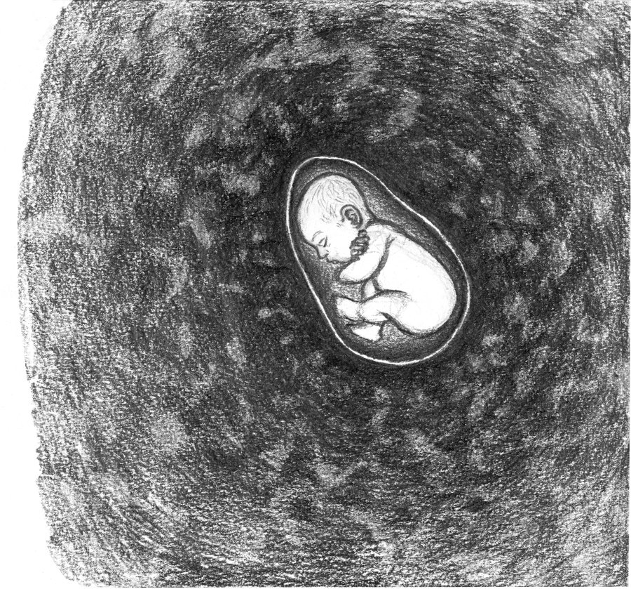 Illustration d'un fœtus in utero — la mémoire cellulaire et le bébé intérieur, Merveilleux Abandon