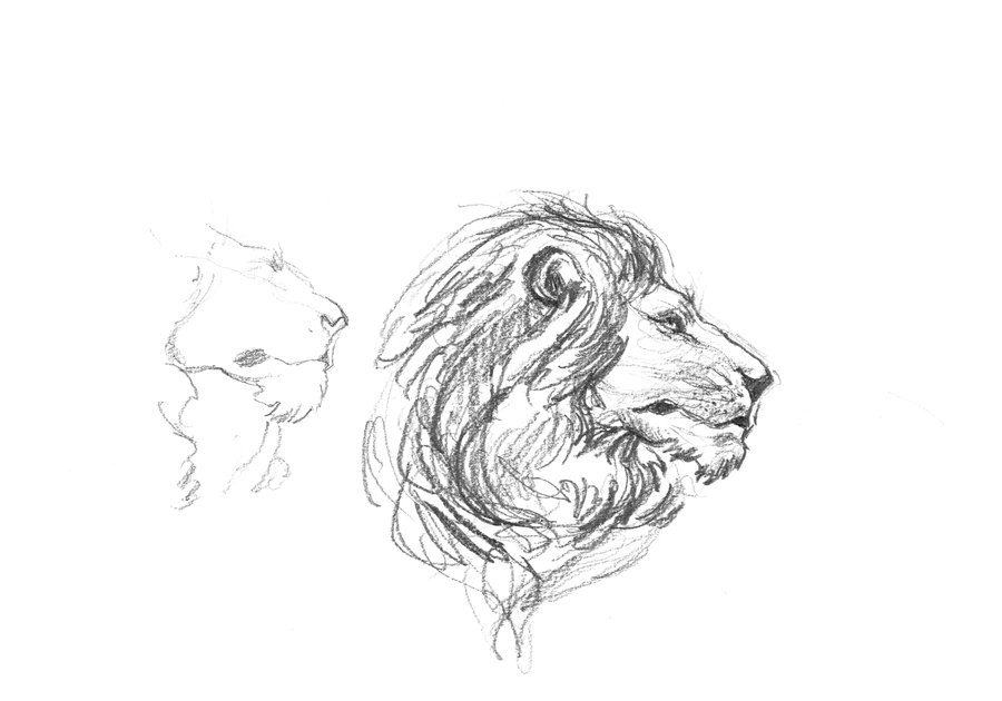 Illustration du lion — force, identité et liberté intérieure, Merveilleux Abandon